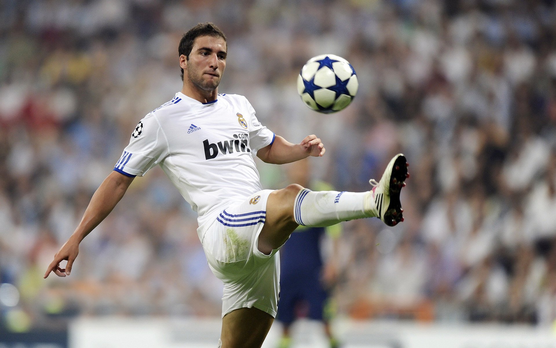 雄鹿队内部竞争激烈,球员表现出色引发关注,雄鹿球队怎么样